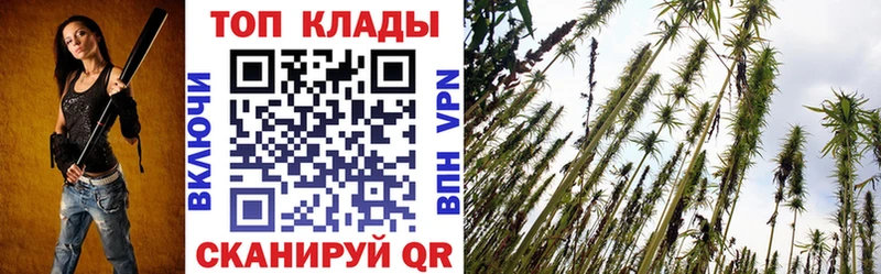 Как найти закладки Вязьма СОЛЬ  МЕФ  Амфетамин  ГАШИШ 