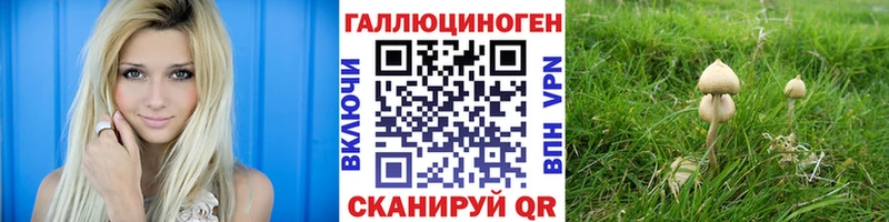 Псилоцибиновые грибы прущие грибы  Вязьма 